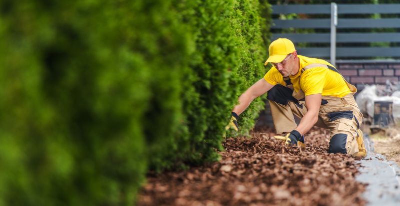 Mulch Installation Services
