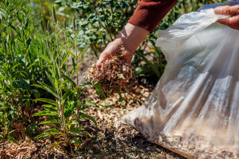 Mulch Installation Services
