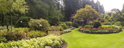 Mulch Installation