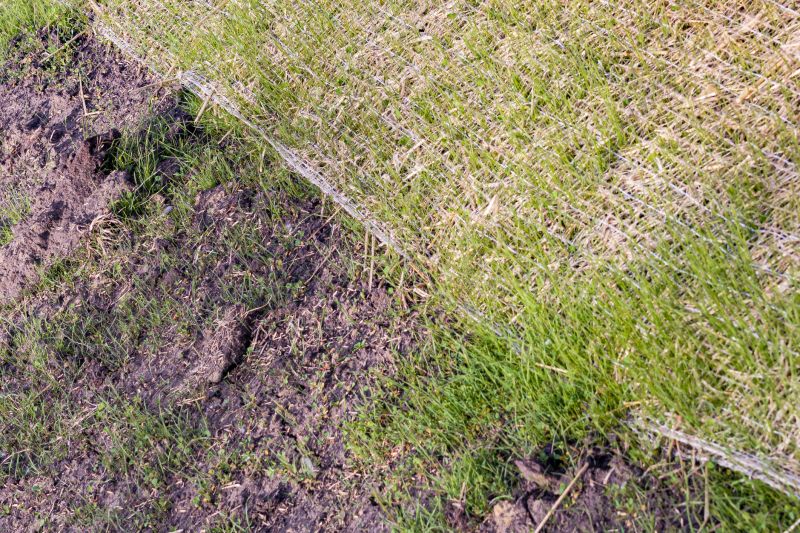 Erosion Matting Service in Honolulu, HI