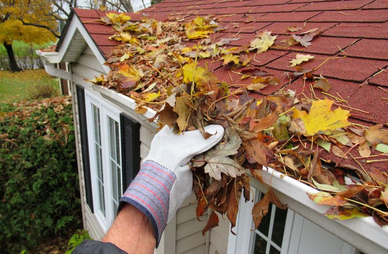Leaf Removal Benefits