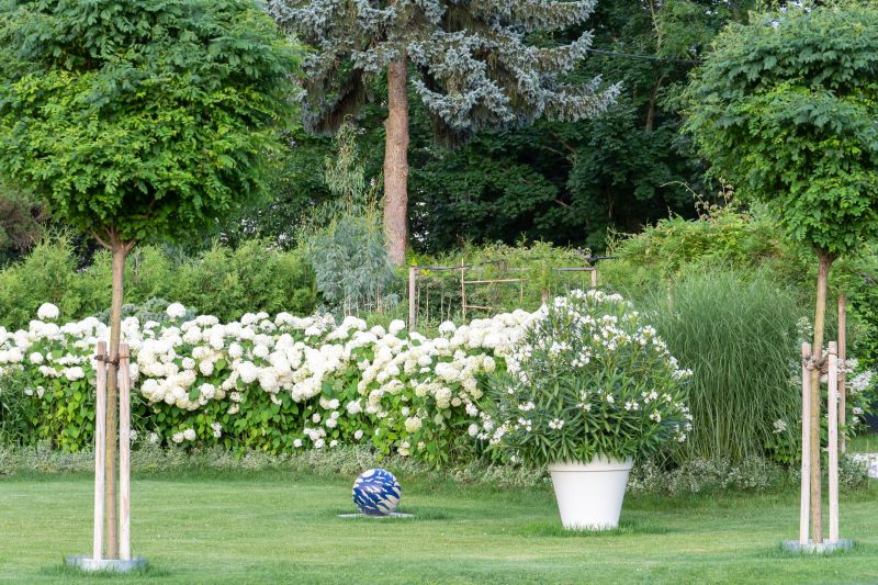 Beautiful Garden Scene