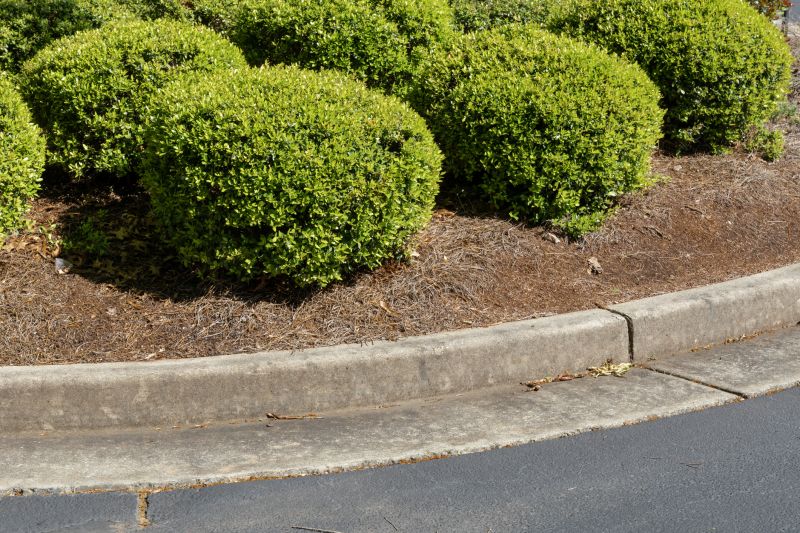 Mulch Layered Around Shrubs