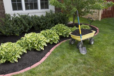 Hold Moisture and Reduce Watering!